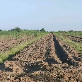 аренда 3 гектар