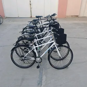 ÝAPON YAPON TIGIRLER