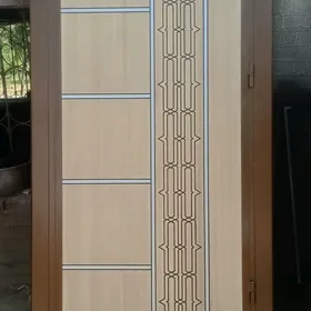 дашкы гапылар