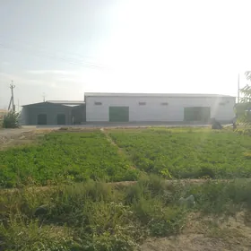 Ànew Önümçilik ýer