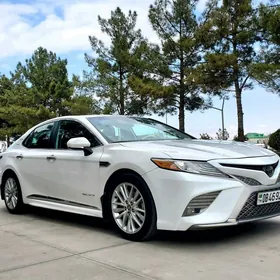 Toyota Camry 2021
