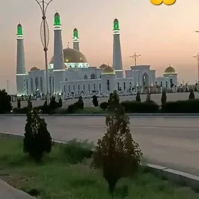 arenda jay 190