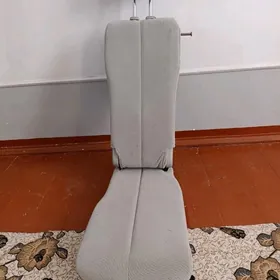 Sienna Sidenýa ortaky