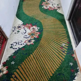 haly darozka