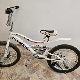 Tigir olympia