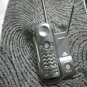 Panasonic dom.tel.