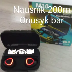 nausnik
