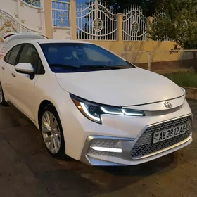 Toyota Corolla 2021