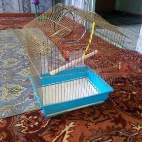 PAPUKAY SETKASY