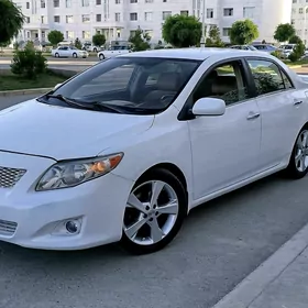 Toyota Corolla 2008