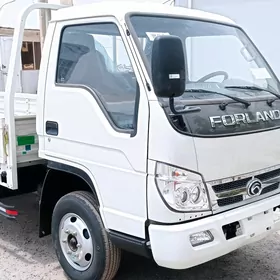 Forland H2 2025