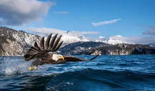 Ýaralanan, göze görünmeýän gahrymanlar: Environmental Photography Award 2025-iň ýeňijileri