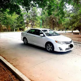 Toyota Camry 2014