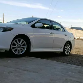 Toyota Corolla 2010