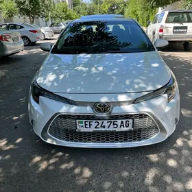 Toyota Corolla 2020
