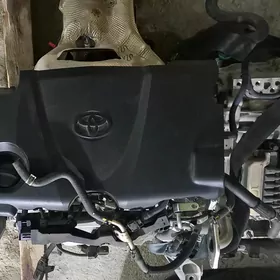 camry 2023-2025 arassaja mator