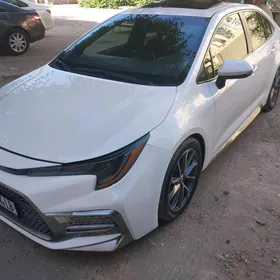 Toyota Corolla 2021