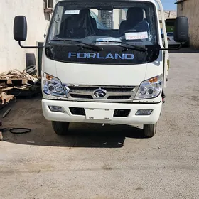 Forland H2 2025