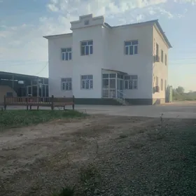Tejen şäherinde katej