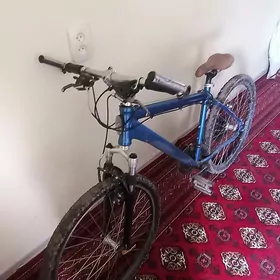 germaniyadan gelen welli