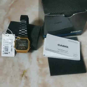 casio sagat