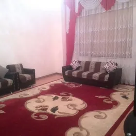 turk haly arassa