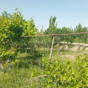 сатлык жай