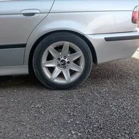 radnoy pisik goz diska er 17
