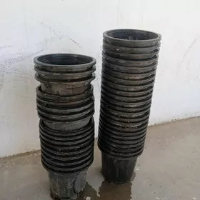 gül gap