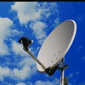 Antena антенна