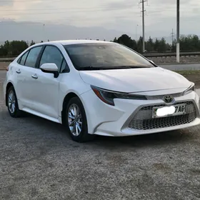 Toyota Corolla 2021