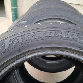 balon 255/55R19
