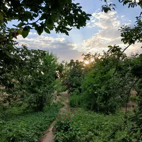 İş gerek
