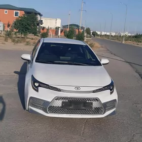 Toyota Corolla 2021