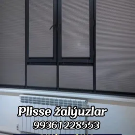Plisse žalýizi, jalýuz, zalyuz