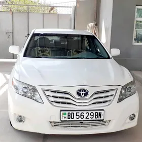 Toyota Camry 2010