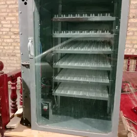 Inkubator