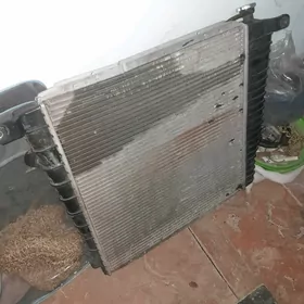 Radivatr