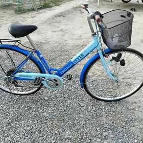 TIGIR YAPONISKI 27 LIK