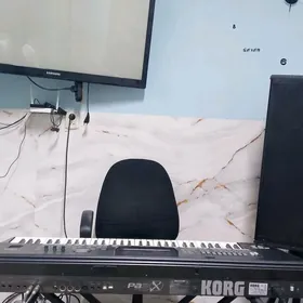 pa3 kici