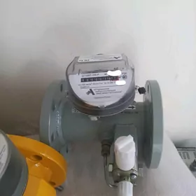 gaz sçÿotçik счетчик