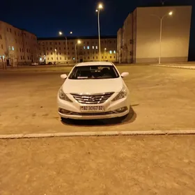 Hyundai Sonata 2010