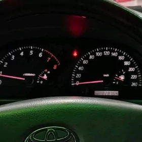 Haliji Duty camry pribor