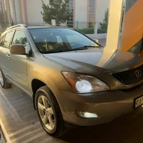 Lexus RX 330 2004