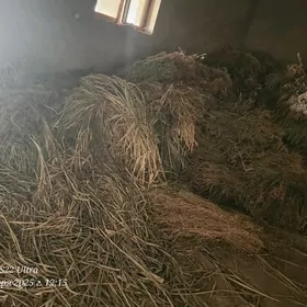 от юрунжа
