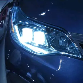 Xenon Sinon Lampa