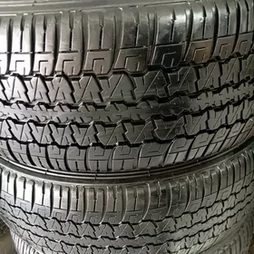265/55/19/5şt Dunlop