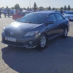 Toyota Corolla 2011