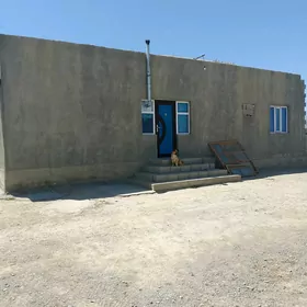Baherden arenda jay
