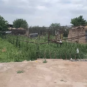 теплитса